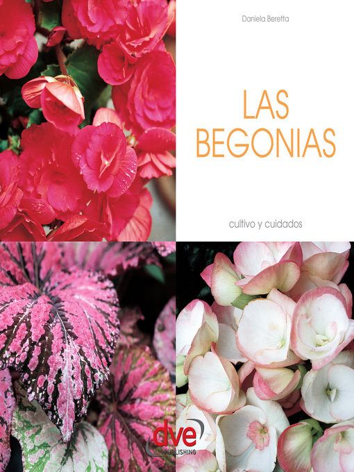 Cover image for Las begonias